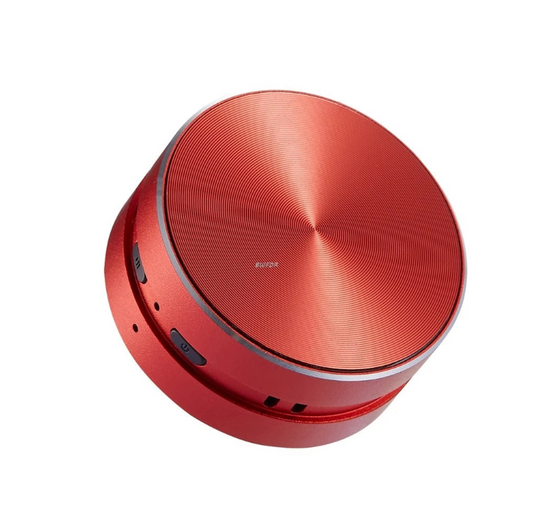 PuffChillin™ - Mini Speaker